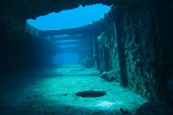 Dive Sites Of Grand Bahama 