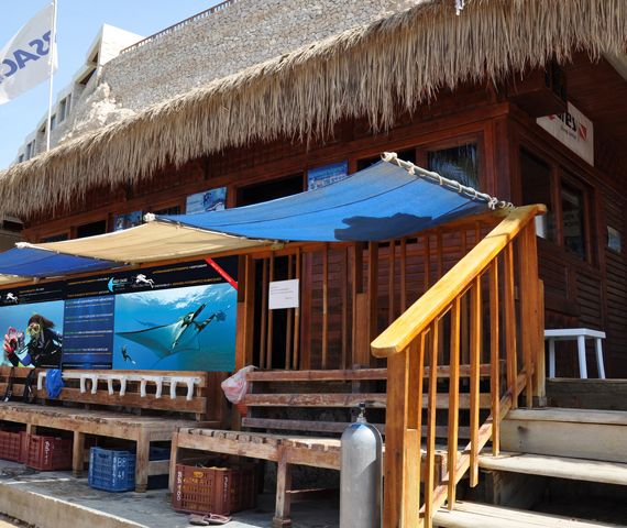 Dive Center Sharm El Shiekh | PADI 5 Star IDC | Reef Oasis Dive Club