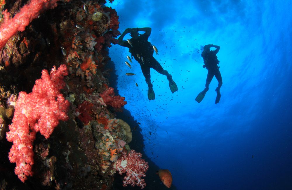 Diving Marsa Alam